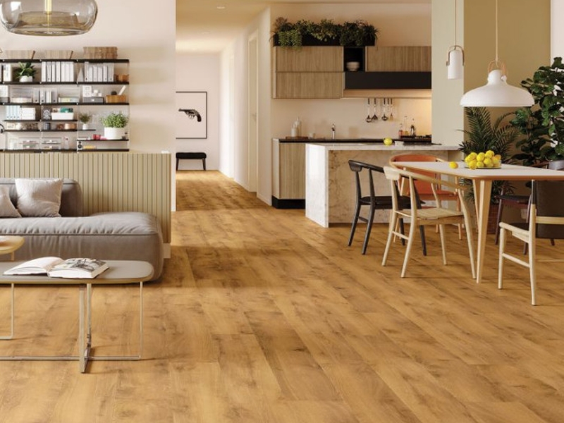 Alt Tag for Project image1